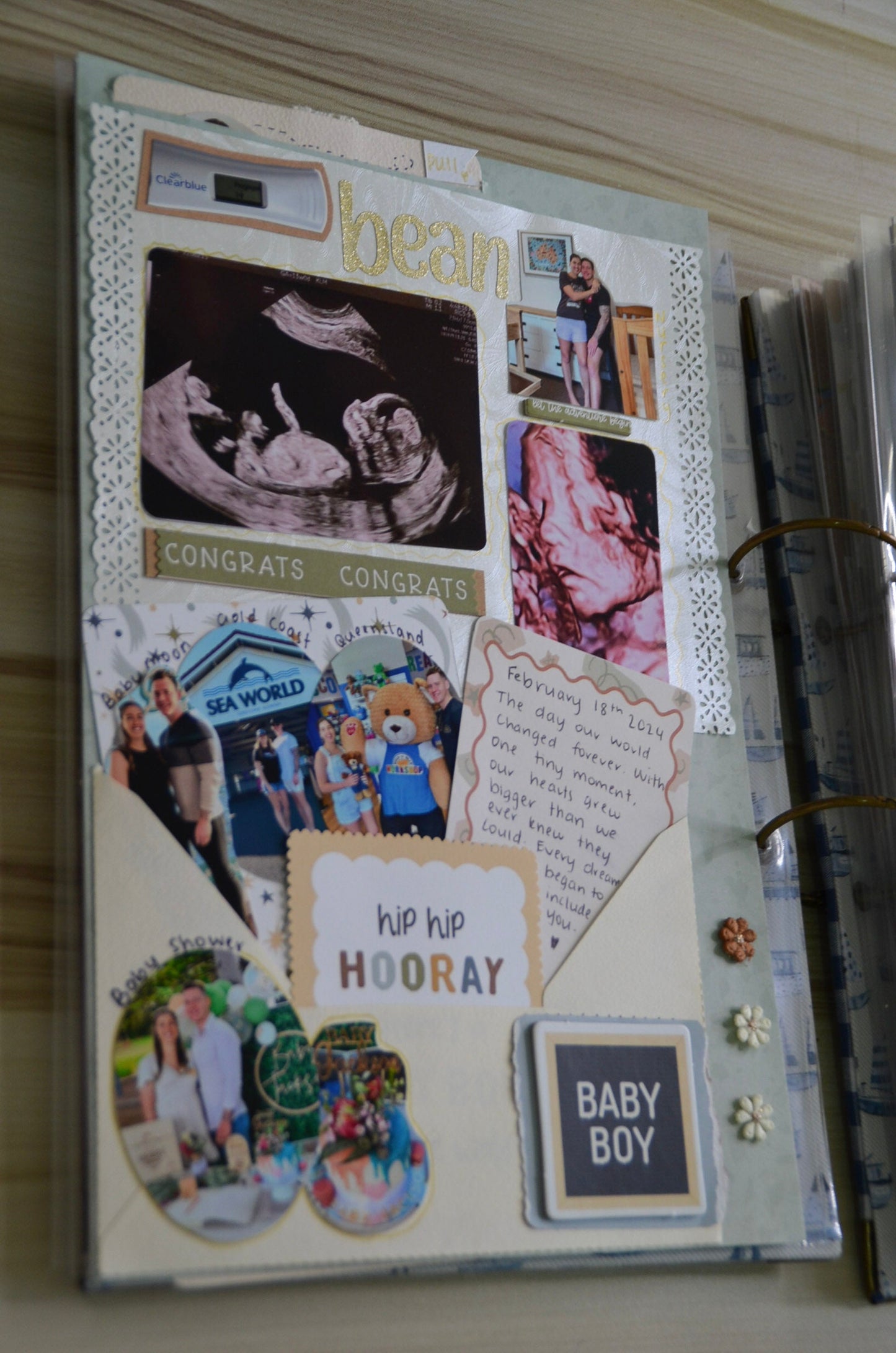 Add On Page: Pregnancy